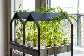 Hydroponics machine
